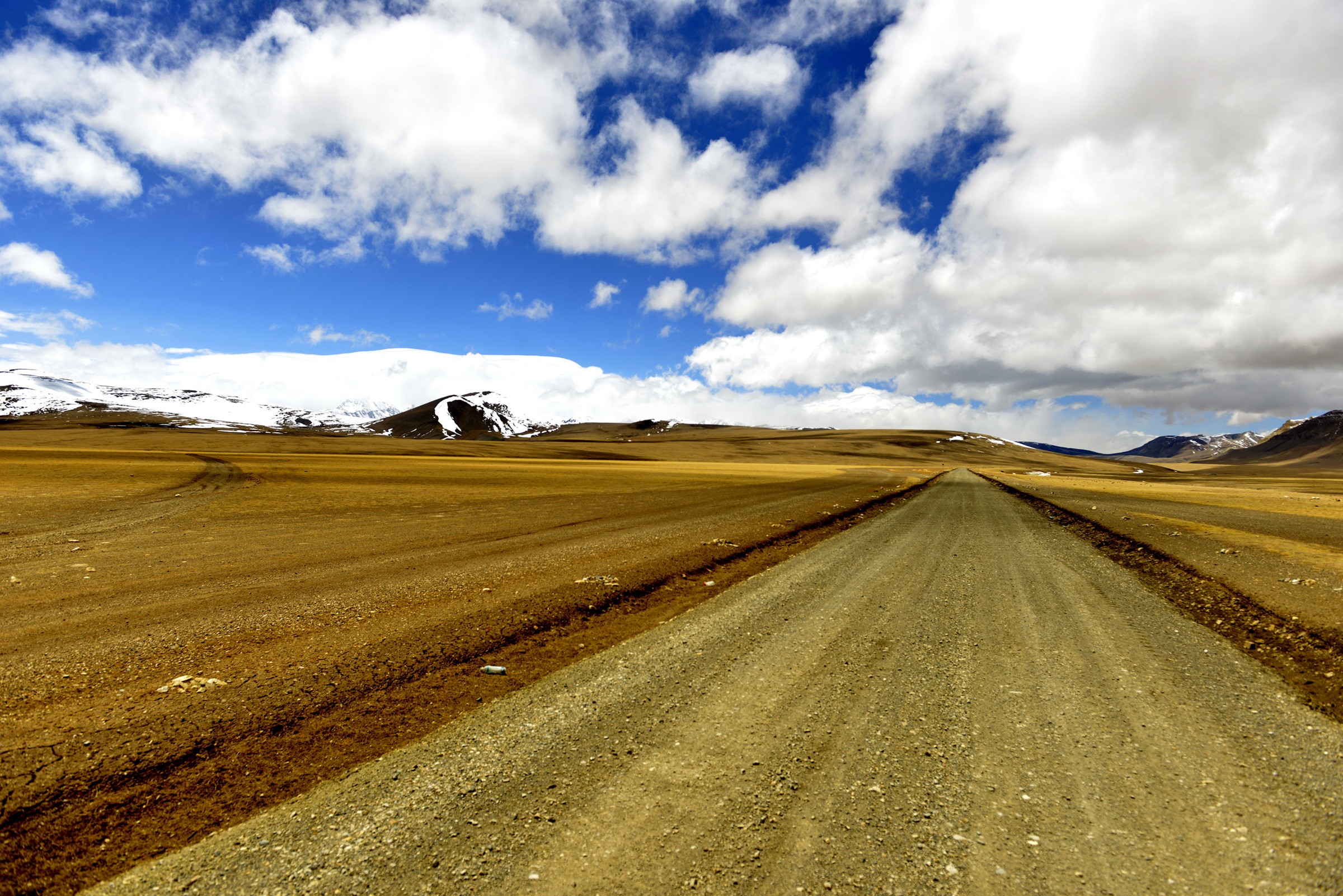 尼康D850真的能秒5D4么?-尼康D850-ZOL问答